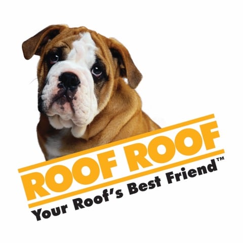 Avatar for Roof Roof
